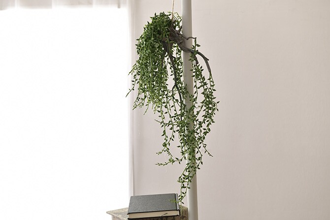 Brown. ブラウン フェイクグリーン グリーンネックレス 着生