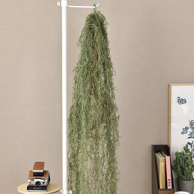 Brown. ブラウン フェイクグリーン スパニッシュモス ハンギングブッシュ グリーン 152