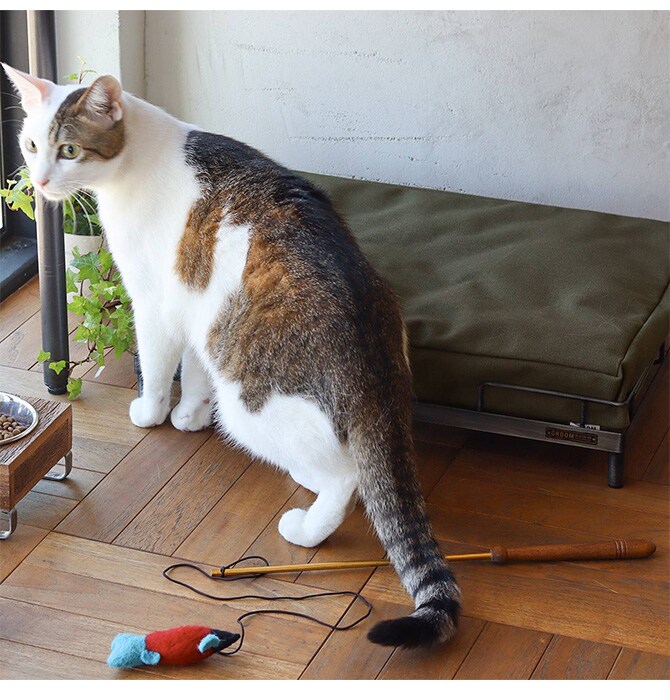 GROOM グルーム アイアンベッド 猫 ベッド キャットベッド ペットベッド 小型犬 インダストリアル ヴィンテージ かっこいい 男前 おしゃれ