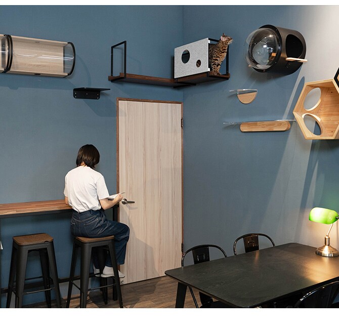 MYZOO マイズー AVENUE カバー M 猫用 キャットステップ カバー MYZOO AVENUEカバー カバー 目隠し 隠れ家 おしゃれ ユニセックス