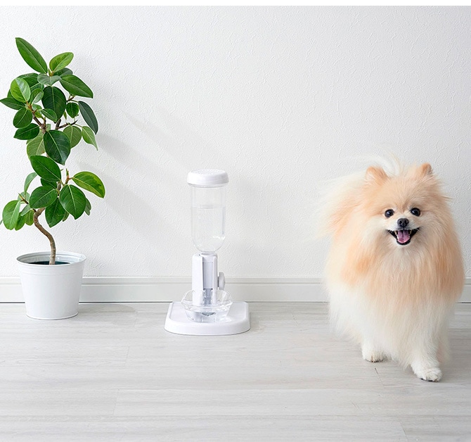 Bonbi ボンビ ラクリアスタンド 猫用 犬用 ペット用 給水器 自動 お手入れ簡単 ホワイト クリア 白 透明 シンプル おしゃれ 電気不要