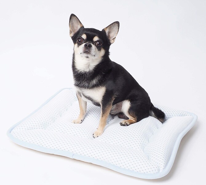 appy アッピィ ペット 超クール ウォッシャブルマット M