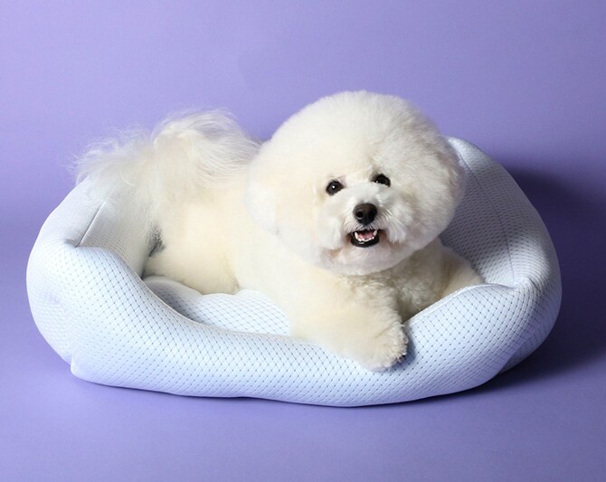 appy アッピィ ペット 超クール スクエア型ベッド 一体型 L