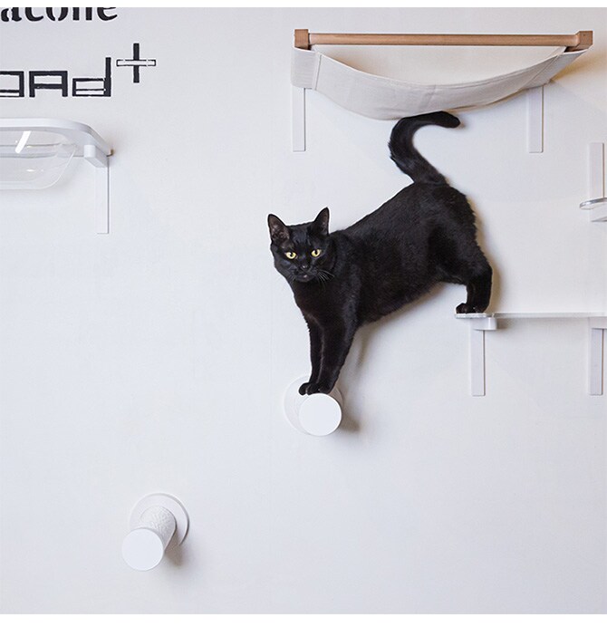 animacolle アニマコレ キャットスティック