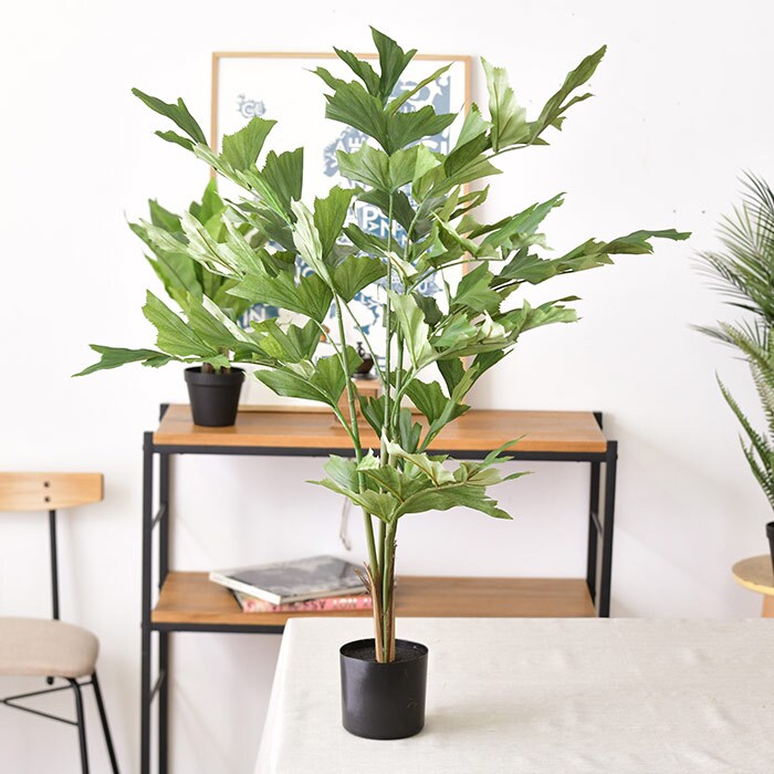 Brown. ブラウンフェイクグリーン クジャクヤシ ポット 90