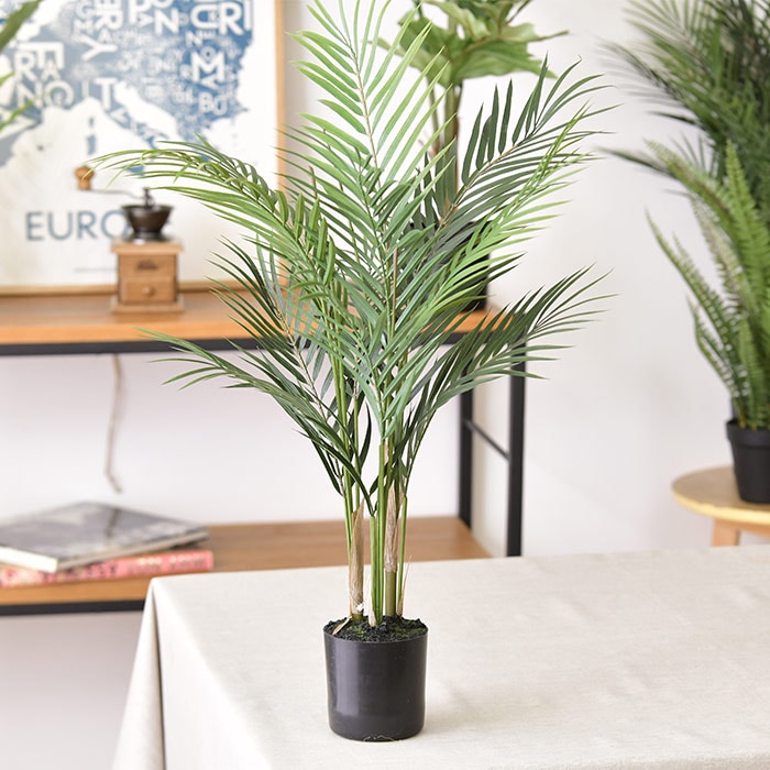 Brown. ブラウンフェイクグリーン アレカヤシ ポット 70