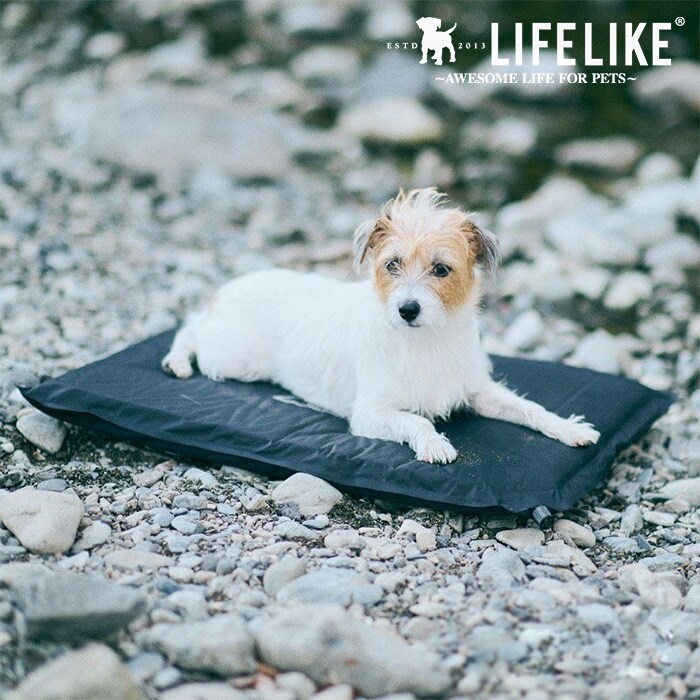 LIFELIKE ライフライクLIFELIKE インフレーターマット