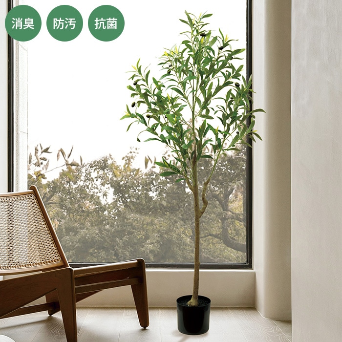 消臭アーティフィシャルグリーン 大型 オリーブ