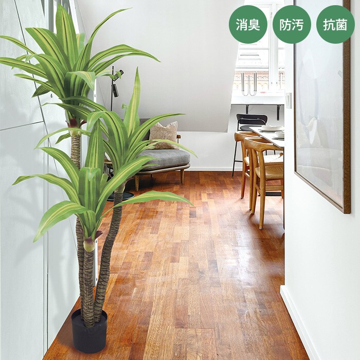  消臭アーティフィシャルグリーン 大型 ドラセナ