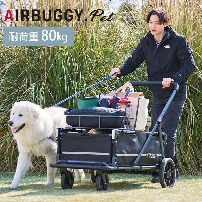 AIRBUGGY エアバギーAIR CRUISER BASE エアクルーザー ベース ブラック