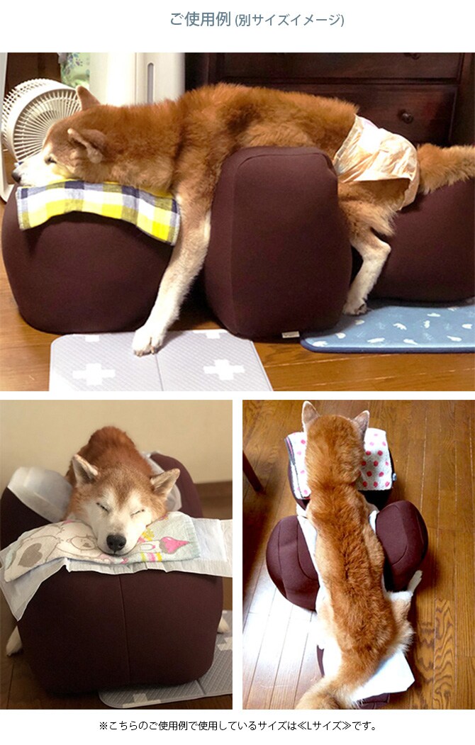 OneAid ワンエイド リラクッション　トイプードル  犬 小型犬 トイプードル シニア ビーズクッション 姿勢サポート 高齢  