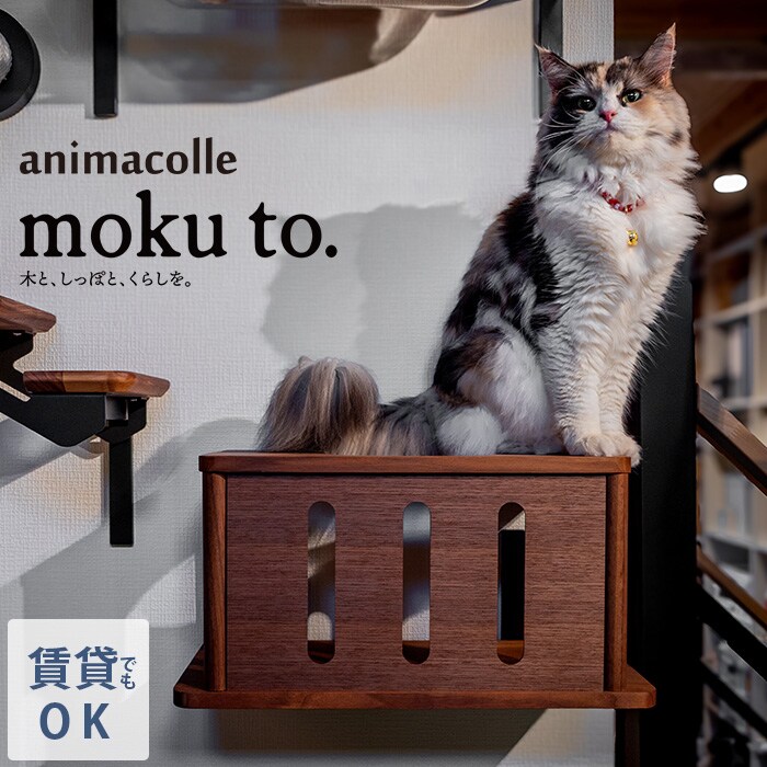 animacolle アニマコレmoku to.キャットトンネル