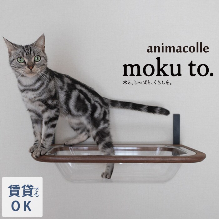 animacolle アニマコレmoku to.キャットバス