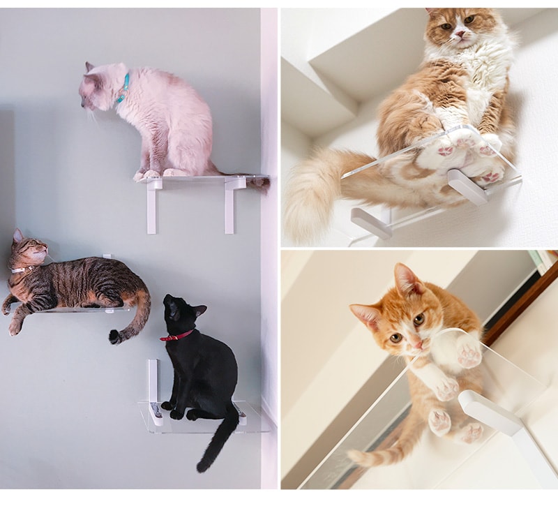 animacolle アニマコレ Catroad+ ワイドステップ 3点セット（ 白2、クリア1）  猫 賃貸 小さい穴 キャットステップ キャットウォーク 壁 DIY セット キャットタワー 透明 クリア おしゃれ  