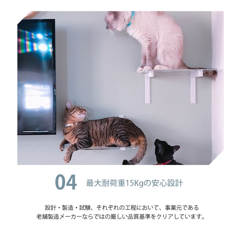 animacolle アニマコレ Catroad+ ワイドステップ 3点セット（ 白2、クリア1）  猫 賃貸 小さい穴 キャットステップ キャットウォーク 壁 DIY セット キャットタワー 透明 クリア おしゃれ  