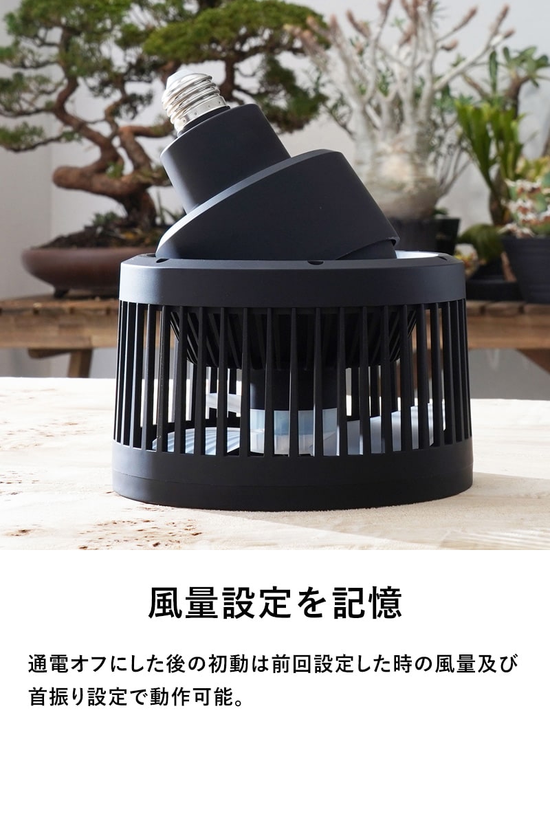 BARREL サーキュレーター AECHMEA MOVE