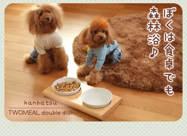 kanbatsu TWOMEAL double dish　トゥーミールダブルディッシュ KBBD01 /犬/食器/木製/おしゃれ/シンプル/陶器/かわいい/カンバツ/室内/小型犬/ 