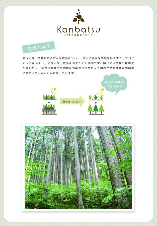 kanbatsu TWOMEAL double dish　トゥーミールダブルディッシュ KBBD01 /犬/食器/木製/おしゃれ/シンプル/陶器/かわいい/カンバツ/室内/小型犬/ 