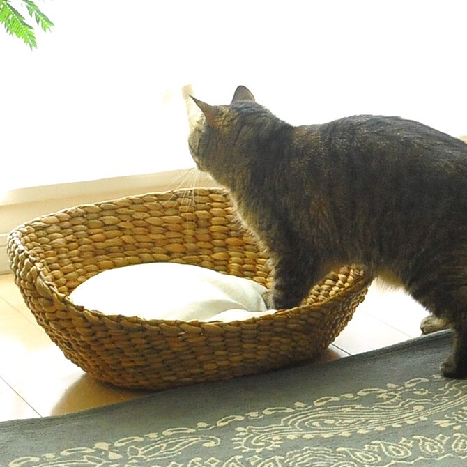 ナチュラルラウンドベッド　ナチュラル  キャットベッド 猫用ベッド ベッド ハウス クッション 犬用 かわいい おしゃれ 猫用　ネコ いぬ　犬　イヌ  