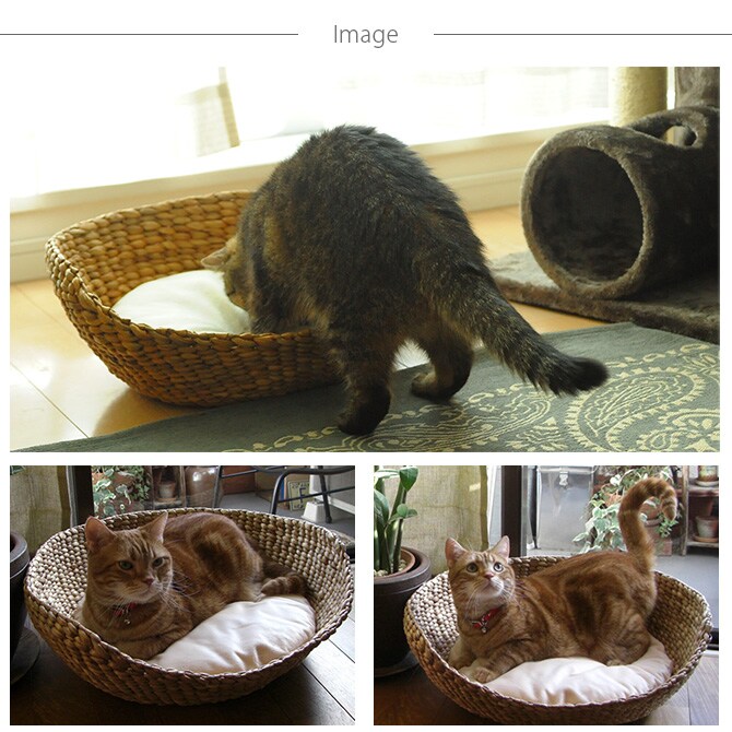 ナチュラルラウンドベッド　ナチュラル  キャットベッド 猫用ベッド ベッド ハウス クッション 犬用 かわいい おしゃれ 猫用　ネコ いぬ　犬　イヌ  