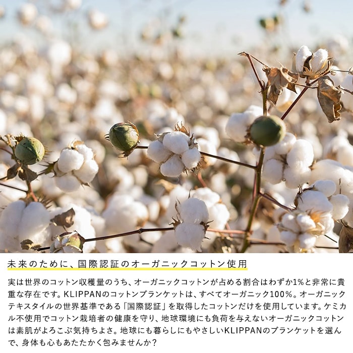 KLIPPAN クリッパン【正規取扱店】 コットンシングルブランケット フォレストスプーン スローケット ひざ掛け 膝掛け オールシーズン おしゃれ 北欧 高級 洗える 洗濯機 高級 ギフト プレゼント ミナペルホネン