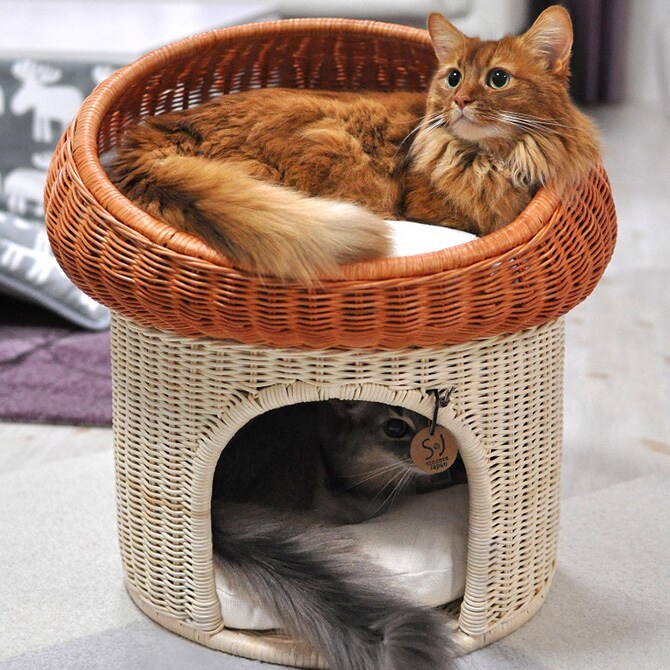 ラタン　マッシュルーム  キャットベッド 猫用ベッド ベッド ハウス クッション 犬用 かわいい おしゃれ 猫用　ネコ いぬ　犬　イヌ  