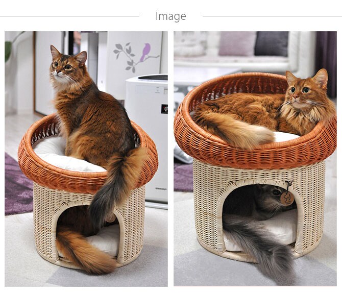 ラタン　マッシュルーム  キャットベッド 猫用ベッド ベッド ハウス クッション 犬用 かわいい おしゃれ 猫用　ネコ いぬ　犬　イヌ  