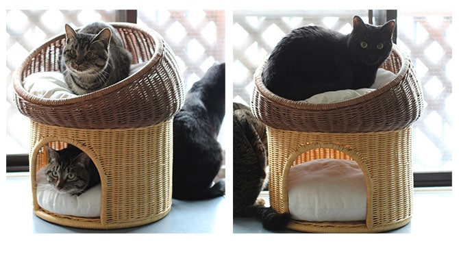 ラタン　マッシュルーム  キャットベッド 猫用ベッド ベッド ハウス クッション 犬用 かわいい おしゃれ 猫用　ネコ いぬ　犬　イヌ  