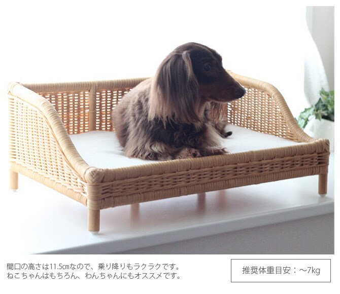 ラタン　ソファーベッド  キャットベッド 猫用ベッド ベッド ハウス クッション 犬用 かわいい おしゃれ 猫用　ネコ いぬ　犬　イヌ  