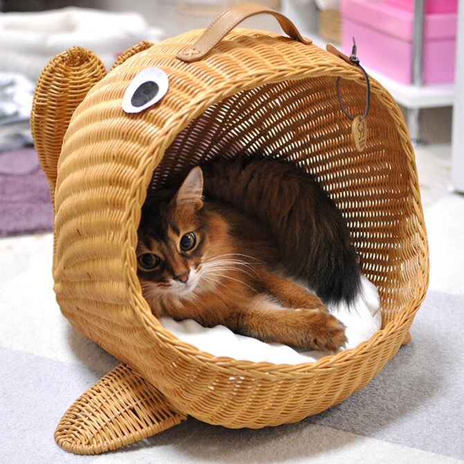 ラタン　くじらベッド  キャットベッド 猫用ベッド ベッド ハウス クッション 犬用 かわいい おしゃれ 猫用　ネコ いぬ　犬　イヌ  