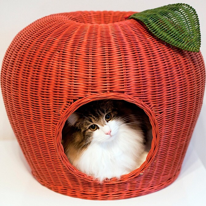 猫 ベッド ラタン ポムハウス キャットベッド 猫用ベッド ベッド ハウス クッション 犬用 かわいい おしゃれ 猫用 ネコ いぬ 犬 イヌ