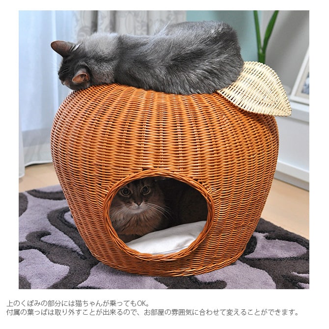 猫 ベッド ラタン ポムハウス キャットベッド 猫用ベッド ベッド ハウス クッション 犬用 かわいい おしゃれ 猫用 ネコ いぬ 犬 イヌ