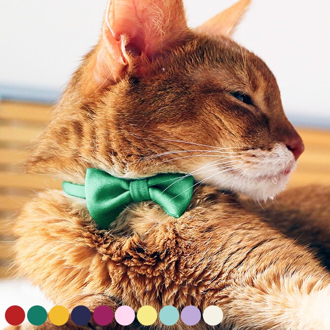 necono ネコノ 猫の首輪 Luce Ribbon ルーチェ リボン 猫 首輪 おしゃれ かわいい ギフト 猫用品 ペット用品 ペットグッズ ねこ ネコ