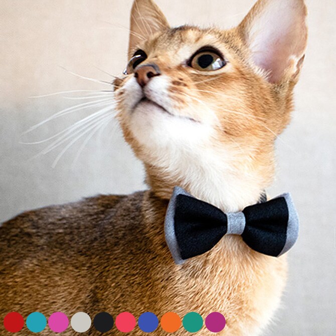necono ネコノ 猫の首輪 Luce Ribbon dauble ルーチェ リボン ダブル  猫 首輪 おしゃれ かわいい ギフト 猫用品 ペット用品 ペットグッズ ねこ ネコ  