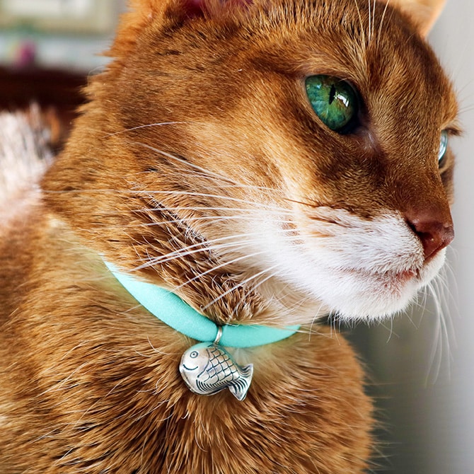 necono ネコノ 猫の首輪 Luce Bell ルーチェ ベル 猫 首輪 鈴 おしゃれ かわいい ギフト 猫用品 ペット用品 ペットグッズ ねこ