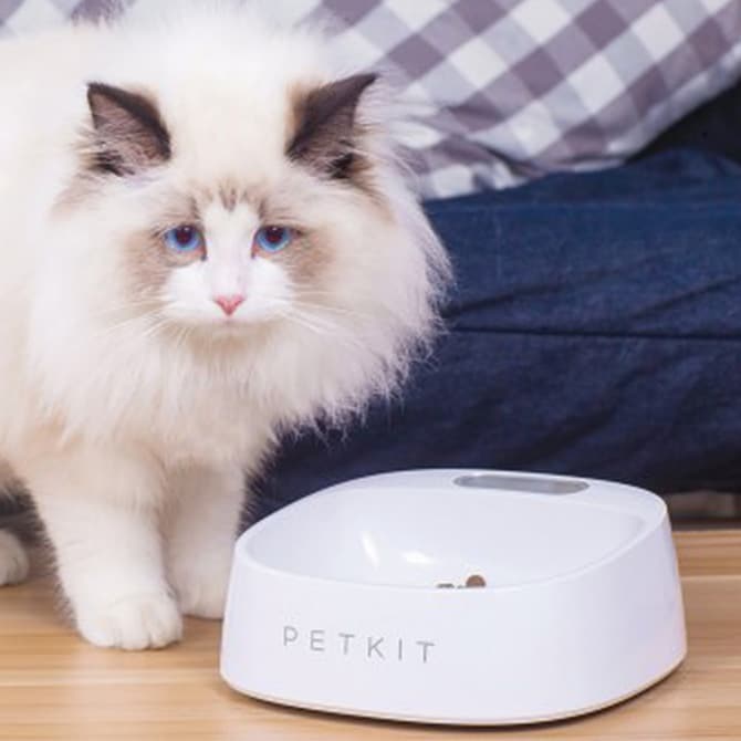 PETKIT ペットキット スケール・フィーディングボール スモール  猫 犬 食器 フードボウル スケール 猫用品 犬用品 ネコ イヌ ペット  