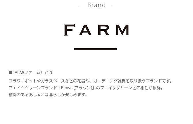 FARM ファーム ワイヤーフロートポット 鉢カバー ポットカバー 観葉植物 フェイクグリーン ディスプレイ ボタニカル 植物 多肉植物 インテリア おしゃれ