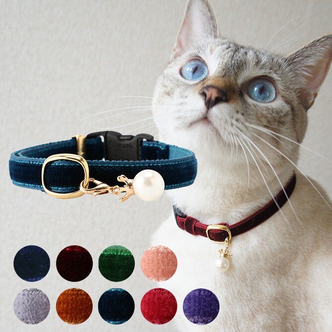 necotas+ ネコタス 猫 首輪 ベルベット セーフティ猫首