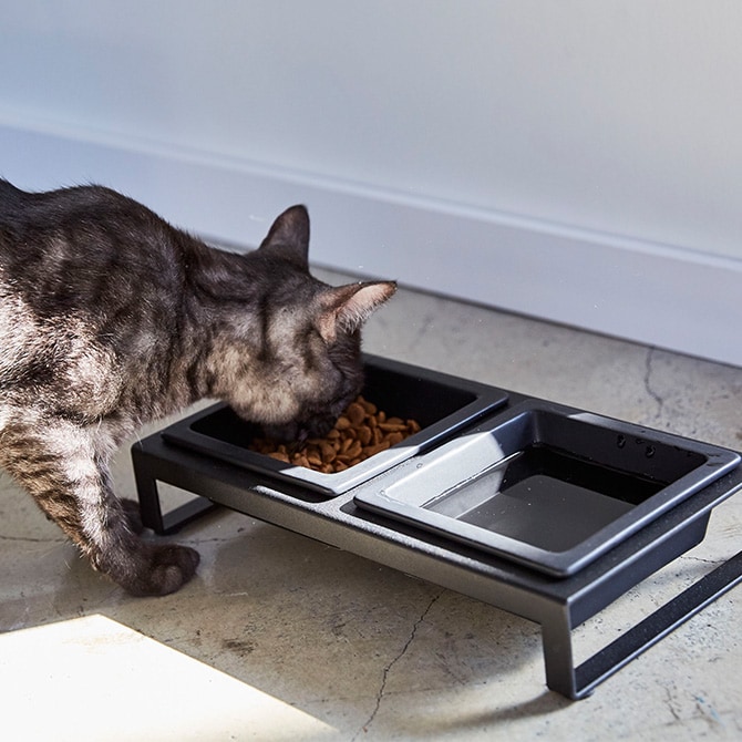 tower タワー ペットフードボウルスタンドセット