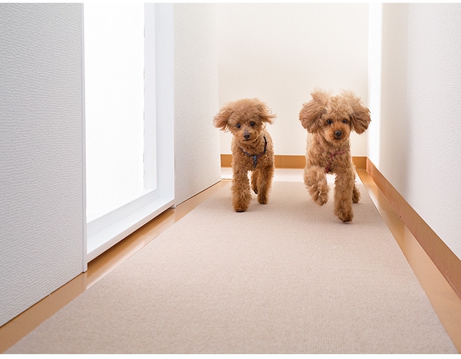 SANKO(サンコー) ペット用床保護マット 60×120cm  犬 猫 ペット用 マット 撥水加工 おくだけ吸着 フロアマット 傷防止 汚れ防止 ずれない  