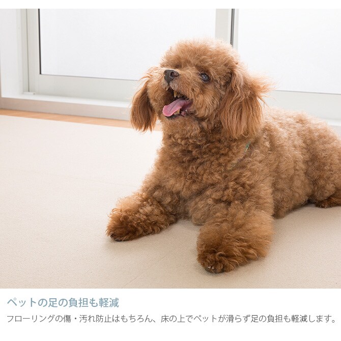 SANKO(サンコー) 吸着おそうじラクラクマット 60×120cm  犬 猫 ペット用 マット 撥水加工 おくだけ吸着 フロアマット 傷防止 汚れ防止 ずれない  