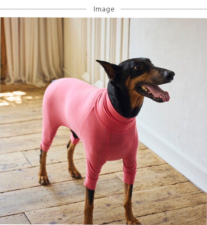 MANDARINE BROTHERS マンダリンブラザーズ SKIN TIGHT SUIT スキンタイトスーツ 犬 インナー 部屋着 ロンパース ドッグウェア ストレッチ 伸縮 服 つなぎ おしゃれ