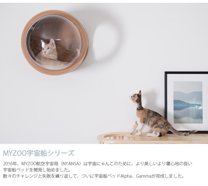 MYZOO マイズー Spaceship Gamma Wood 宇宙船 ガンマ ウッド 