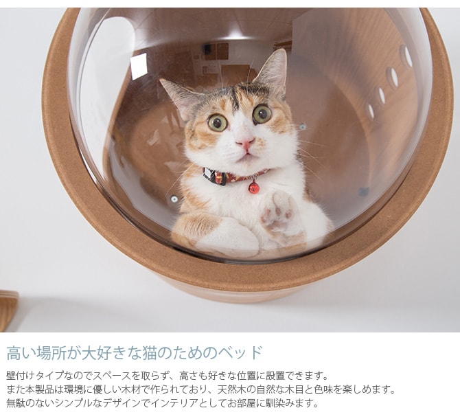 MYZOO マイズー Spaceship Gamma Wood 宇宙船 ガンマ ウッド 