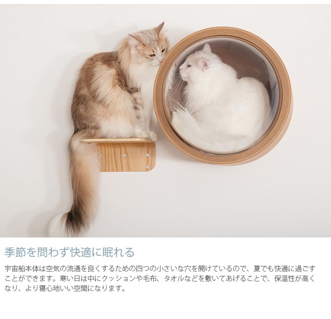 MYZOO マイズー Spaceship Gamma Wood 宇宙船 ガンマ ウッド 