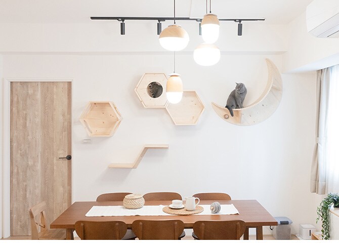 MYZOO マイズー Zone キャットステップ 猫 キャットステップ キャットウォーク 壁付け 壁掛け 木製 シンプル ジクザク Z型 北欧