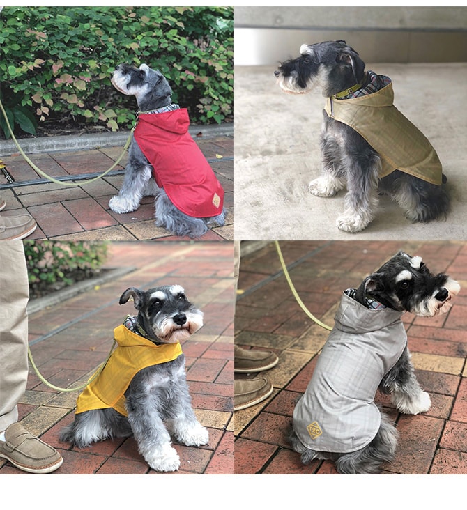 T&C シアー レインコート リバーシブル 犬 ウェア レインコート カッパ 合羽 犬の服 リバーシブル タータンチェック TOMMY&CATTY オールシーズン