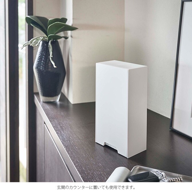 tower タワー ツーウェイマスク収納ケース スリム マスク収納 マスクケース マグネット 玄関 大容量 シンプル おしゃれ 白 黒 収納