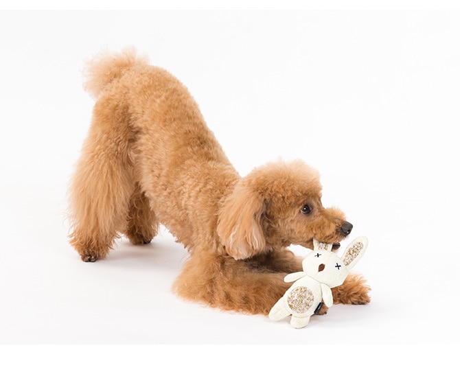 FAD ファッド FADアニマル・プラッシュトイ L 犬 おもちゃ ぬいぐるみ 丈夫 音が鳴る スクイーカー 動物 アニマル