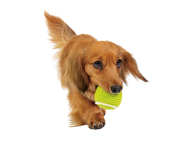 FAD ファッド FADハンドメイド・ニットトイ 犬 おもちゃ ぬいぐるみ ボール 編みぐるみ